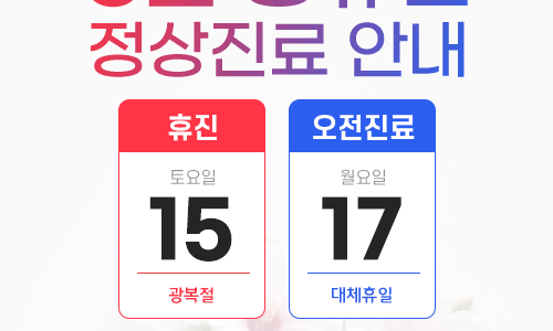 2026년 08월 공휴일 진료 안내